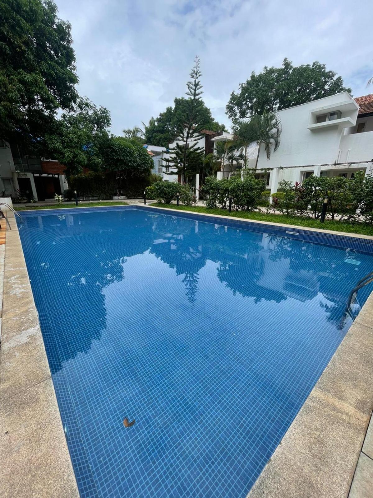 Villa M - Solitude 2 Candolim Goa 3Bhk, Pool Facing, Near Beach, Free Breakfast, Free Wifi And Prime Location Экстерьер фото